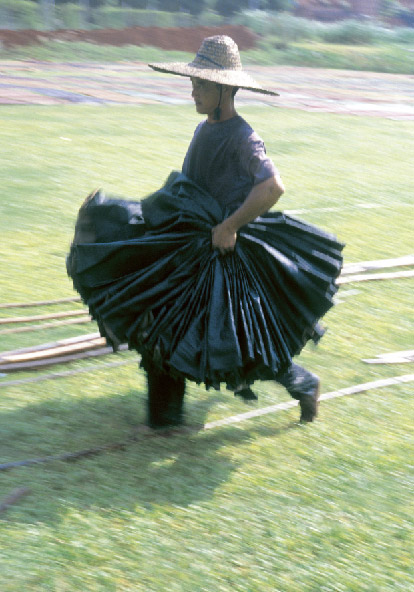 u[K [ƃooO[TɂvsLO  [K [̎ʐ^W